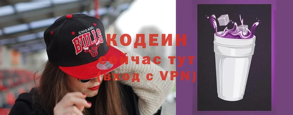 дмт Переславль-Залесский