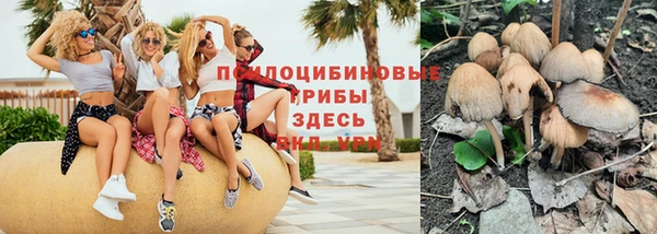 а пвп мука Армянск