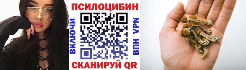 Псилоцибиновые грибы Psilocybe  Судак 